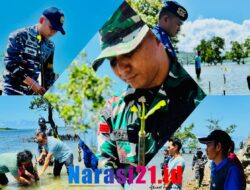 Pokmaswas Sahabat Bahari Sebar Bibit Mangrove di Pesisir Desa Bajo