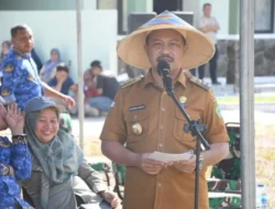 Padi Gogo Jadi Solusi Ketahanan Pangan