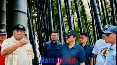 Rum Pagau Sebut Bambu Petung Alternatif Konstruksi Ramah Lingkungan dan Bahan Kerajinan Bernilai Tinggi