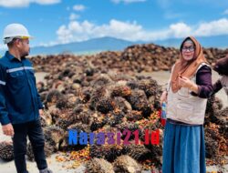 Kaban Kesbangpol Kunjungi Pabrik Sawit Terkait Laporan LSM tak Punya Izin Operasi