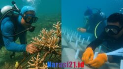 Kolaborasi Pemerintah, Masyarakat Pesisir, dan Peneliti Lestarikan Terumbu Karang Botutonuo