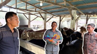 Andi Faizal Hurudji Dukung Program Bupati Rum Pagau Kembangkan Peternakan Sapi Modern di Boalemo