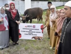 Pemkab Boalemo Terima Bantuan Hewan Kurban dari Bank SulutGo