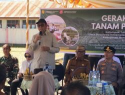Petani Bone Bolango Sukses Genjot Hasil Padi di Atas Rata-Rata Nasional