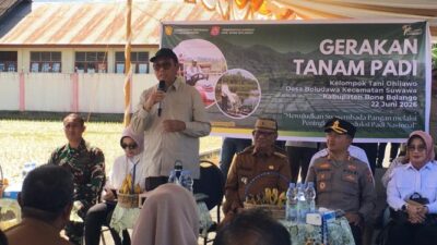 Petani Bone Bolango Sukses Genjot Hasil Padi di Atas Rata-Rata Nasional