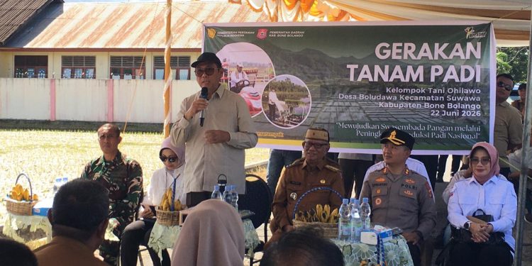 Staf Khusus Menteri Pertanian Bidang Kebijakan Pertanian, Sam Herodian, saat menghadiri Gerakan Tanam Padi Kelompok Tani Ohilawa Desa Boludawa Kecamatan Suwawa. (Sumber Foto: Kominfo)