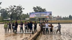 Bone Bolango Resmi Luncurkan Gerakan Tanam Pertanian Modern PM-AAS